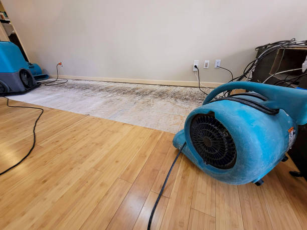Professional Emergency Water Damage technician working in Wrightwood, CA